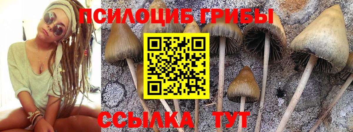 Псилоцибиновые грибы GOLDEN TEACHER Сыктывкар