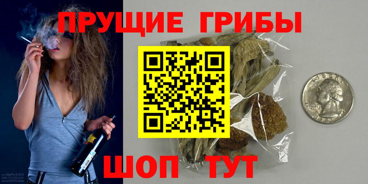 Псилоцибиновые грибы GOLDEN TEACHER  где купить наркоту  Сыктывкар  Вход с VPN 