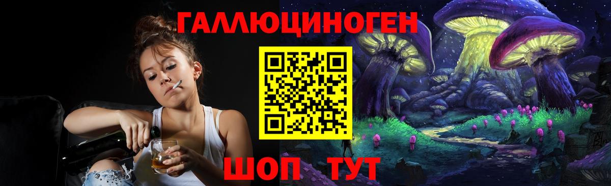 APVP Сыктывкар
